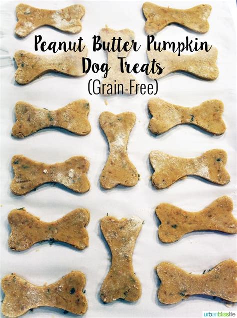 Dog Bliss Peanut Butter Pumpkin Grain Free Dog Treats