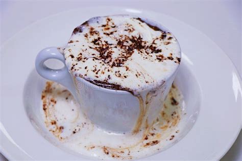 Baked Chocolate Cappuccino Dessert With Whipped Cream And Dark