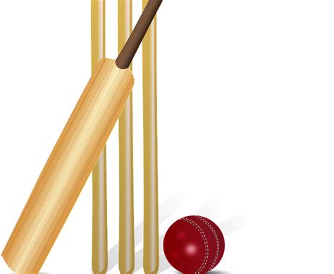 Cricket Bat Png Vector Download In Under 30 Seconds All Red Mania