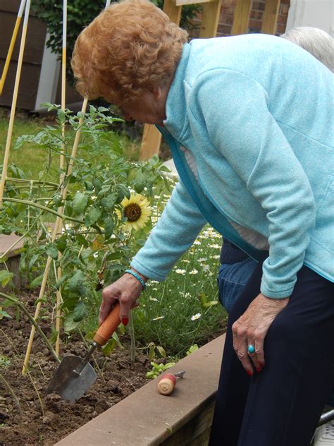 5 Benefits Of Gardening For Seniors Atria Penfield Atria Blog