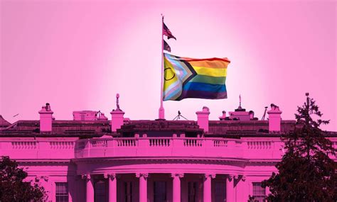Us Elections Lgbtq Candidates Break Records In 2022 Election