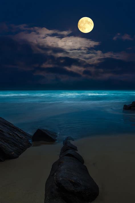 Скачать обои море пляж ночь скалы луна полнолуние раздел пейзажи