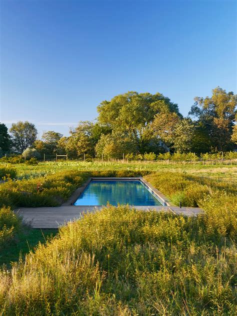 Wild Whimsical Meadow Gardens Are The Landscape Trend To Watch