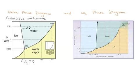 Solved Draw The Phase Diagrams For Water Carbon Dioxide And N2