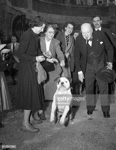 Winston Churchill Bulldog Photos And Premium High Res Pictures Getty