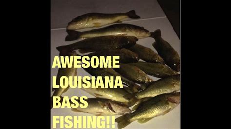 Awesome Bass Fishing In Louisiana Youtube