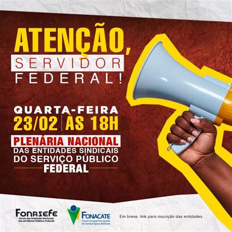 Plen Ria Nacional Do Funcionalismo Federal S Horas