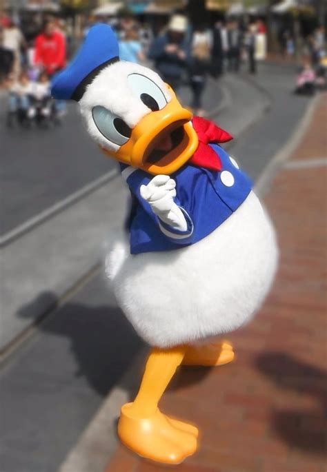 Donald Duck Wants You To Come To Disneyland Walt Disney Disney Magic