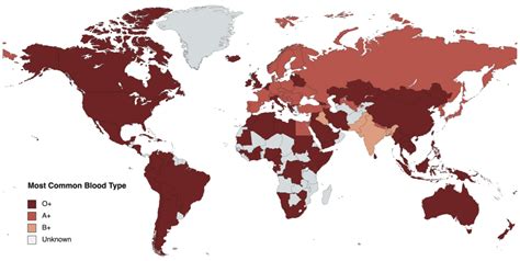Distribution Of Blood Type In The World Vivid Maps