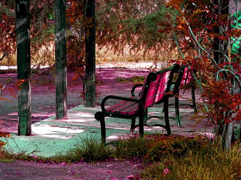 Park Bench In Autumn Free Stock Photo Public Domain Pictures