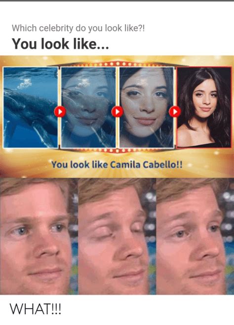 Which Celebrity Do You Look Like You Look Like You Look Like Camila