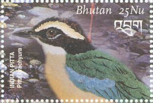 Stamp Indian Pitta Pitta Brachyura Bhutan Birds Of Bhutan Mi BT