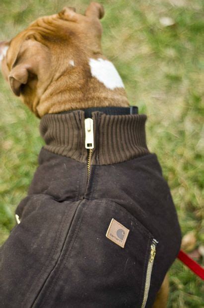 Canine Carhartt Coat For Your Pal Dog Coats Dog Clothes Diy Dog Stuff