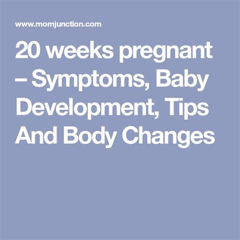 20 Weeks Pregnancy Symptoms Tips And Baby Development