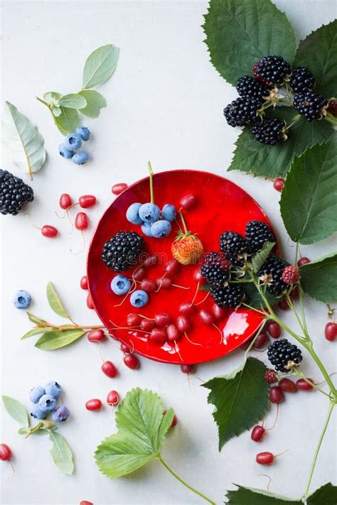 Assorted Berries On A Red Plate Top View Stock Photo Image Of Nature