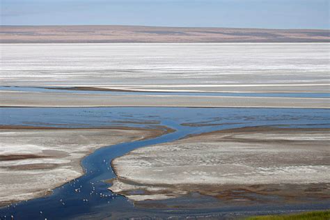 Salt Deposits On Playa Oregon Geology Pics