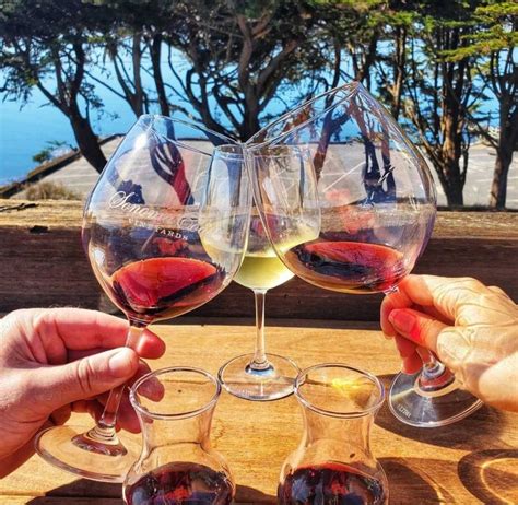Enjoy Great Wines With An Ocean View At Sonoma Coast Vineyards