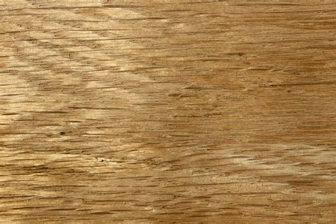 Oak Wood Grain Texture Close Up Picture Free Photograph Photos Public Domain