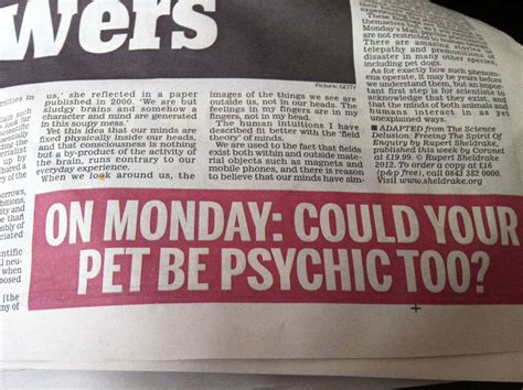13 Perplexing Questions From The Daily Mail That No One Can Answer