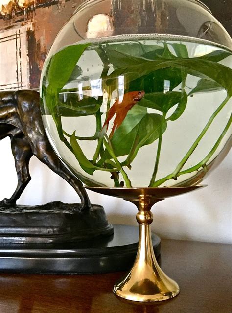 Extra Large Clear Glass Bubble Bowl Fishbowl Goldfish Betta Fish Bowl
