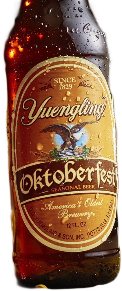 yuengling oktoberfest 12oz 12pk btl luekens wine and spirits