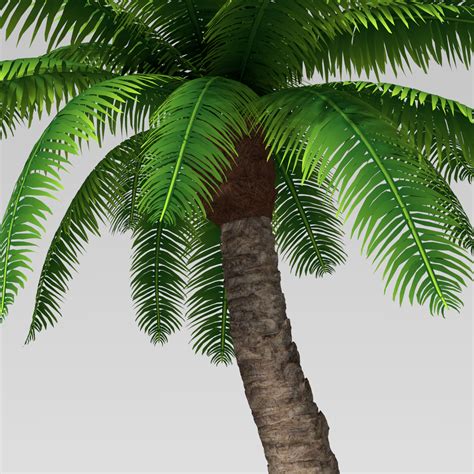 3d Palm Tree