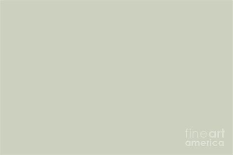 Pastel Light Gray Green Solid Color Pairs To Sherwin Williams Liveable