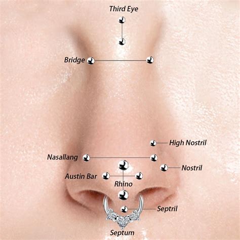 All Types Of Nose Piercings You Should Know In 2022 Nose Piercing
