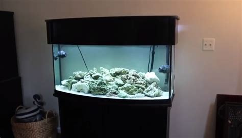 72 Gallon Bow Front Aquarium Aquariuman