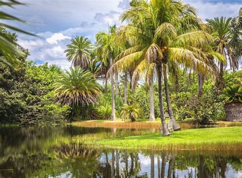 Premium Photo Fairchild Tropical Botanic Garden Miami Fl Usa