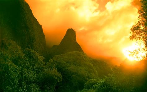 Rainforest Sunset Wallpaper 1920x1200 31538