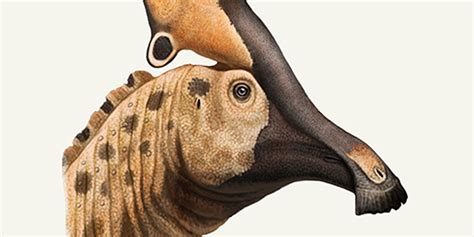 How Duck Billed Dinosaurs Evolved To Have More Than Earth Archives