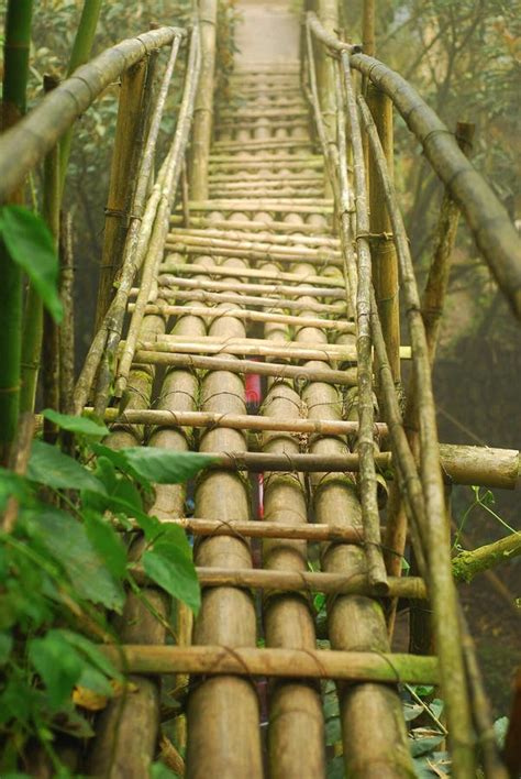 Bamboo Bridge Stock Photo Image Of Bamboo Village Infinite 4839416