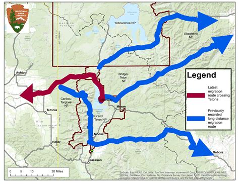 Biologists Document New Mule Deer Migration Route Over Teton Range