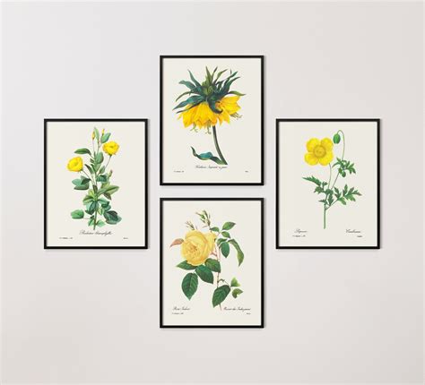 Set Of Four Yellow Botanical Prints Redouté Giclée Prints Etsy