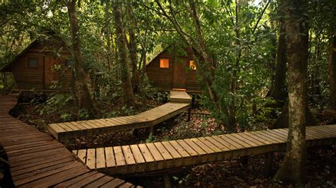 The film stars kristen connolly, chris hemsworth, anna hutchison, fran kranz, jesse williams, richard jenkins, and bradley whitford.the plot follows a group of college students who retreat to a remote forest cabin where they. Forest Wood Cabin Cottage Trees HD wallpaper | nature and ...