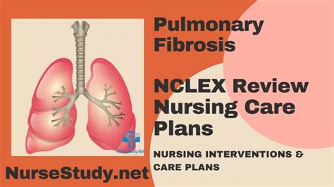 Pulmonary Fibrosis Nursing Diagnosis And Nursing Care Plan Nursestudynet