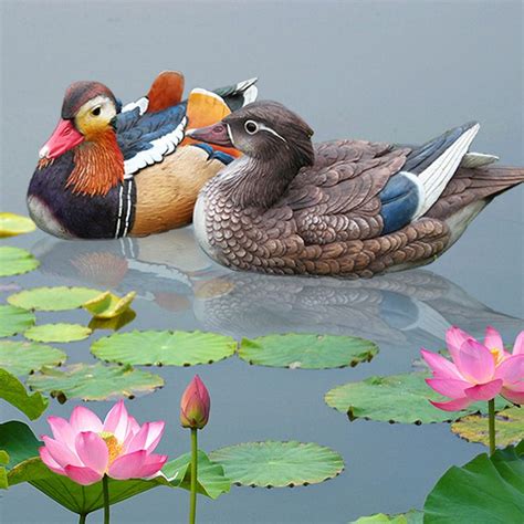 Pair Mandarin Ducks Feng Shui Love And Fidelity Mandarin Duck Bird