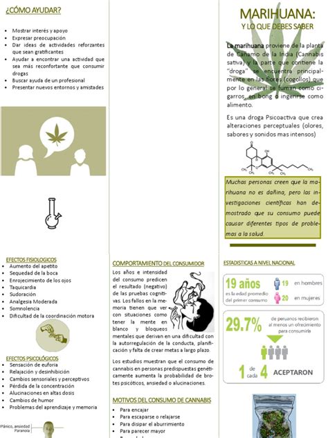Marihuana Tríptico 02 Cannabis Droga Drogas
