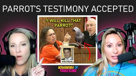 Parrot's Chilling Words Unmask a Murder: The Martin Duram Mystery - YouTube