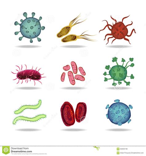 Batteri, virus, funghi e protozoi sono gli organismi viventi, non visibili a occhio nudo, oggetto di studio della microbiologia. Bacteria Virus Cells Germs Epidemic Bacillus Icons Vector ...