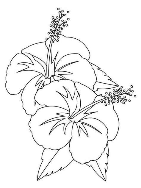 Hibiscus Coloring Pages Free Printable Coloring Pages For Kids