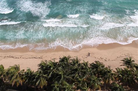 图片素材 海滩 水 性质 砂 海洋 支撑 夏季 旅行 冲浪 热带 假日 海滨 地形 材料 波浪 棕榈树