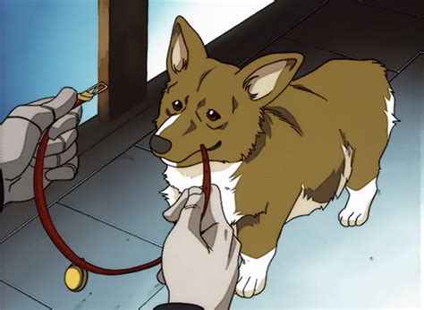 Kumpulan Anime Puppy Dog Eyes  Animasiexpo