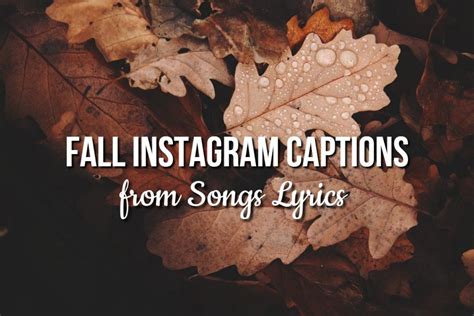 83 Best Fall Captions For Instagram And Autumn Quotes