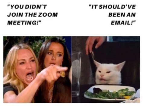 funny zoom memes  put   zoom chat   boss  talking