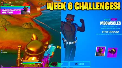 Week 6 Challenge Guide Meowscles Mischief Ghost Shadow Style