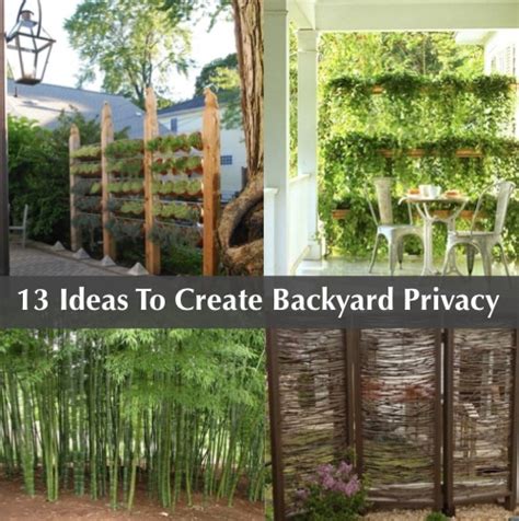 Plant it fairly close together to create a thick privacy screen. 13 Attractive Ways To Add Privacy To Your Backyard - Homestead & Survival