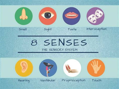 Sensory Processing And Infants Community Connections