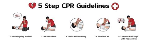 Infographic Of 5 Step Cpr Guidelines Emergency First Aid Procedure